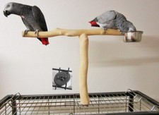 Freisitz für Käfig/Voliere