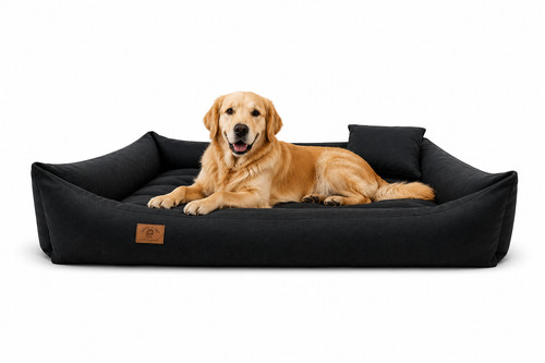 Hundebett sofa wasser schmutz - sofa,