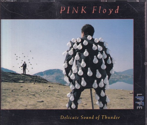Pink floyd delicate sound - "delicate, of