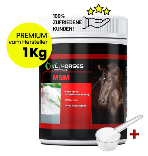 Kräuterland msm pulver pferd - msm,