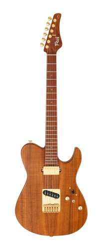 Fgn expert iliad - iliad, ew