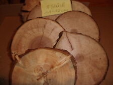 Baumscheibe,Pack,8 Stück