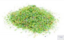 GM1200 Gaugemaster BLUMENWIESE