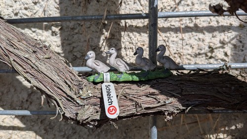 Schleich vögel set - schleich, sammlung