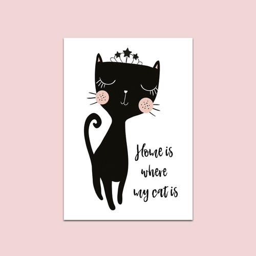 Katzenposter poster katze - poster,