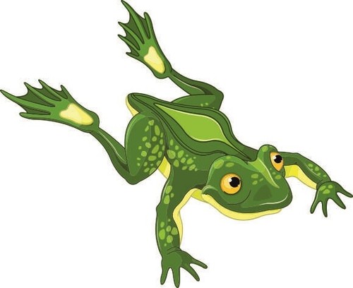 Aufkleber frosch motiv - motiv, 7