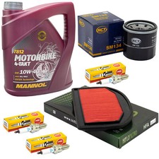 Öl Wartung für Triumph Tiger