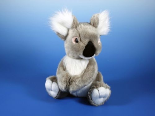 Koala plüsch plüschtier - koala,