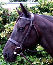 FSS Hunter Show Trense traditionelle englische Arbeitsjagd flach 1"/3 cm Nasenband Neu