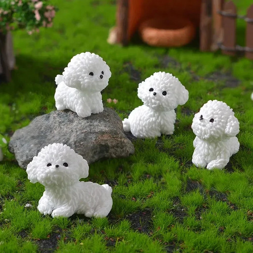 Miniatur bichon frise hund - miniatur,