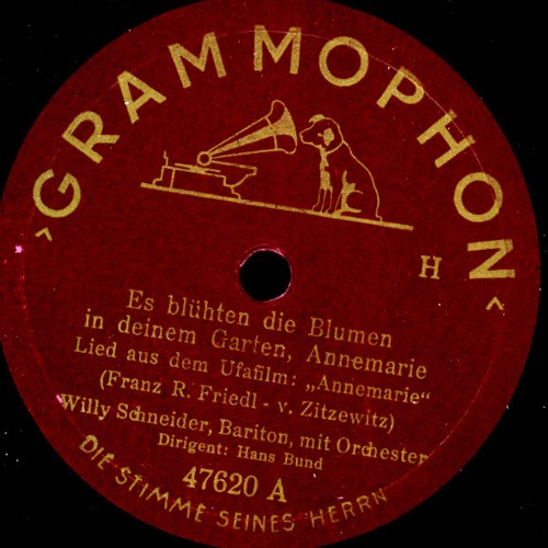 Willy schneider blühten - schneider,