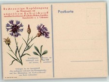 13065150 - Ungeoelter