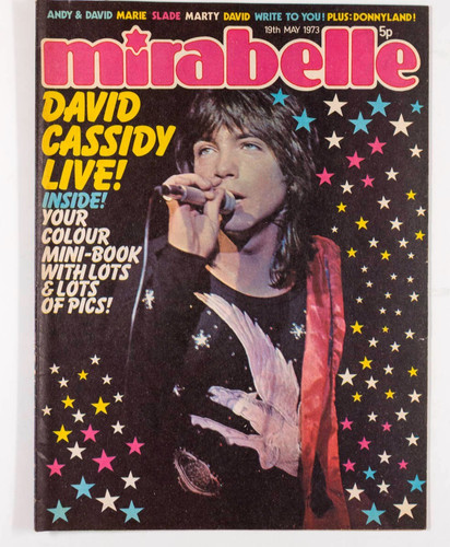 David cassidy bowie - david,