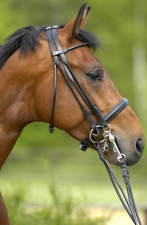 % Stübben Kandarenzaum 4000 CARLOW rundgenäht engl. o. schwed. -UVP €329,00 -NH