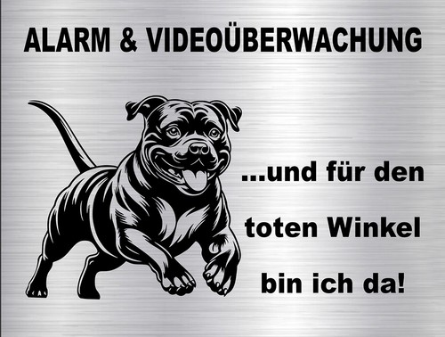 Staffordshire bullterrier - staffordshire,  bullterrier