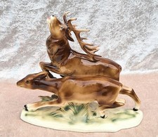 Röhrender Hirsch mit