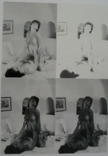 Druckfilm(CMYK) für