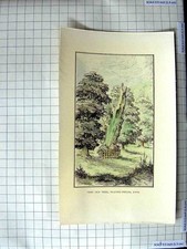 Original alter antiker Druck