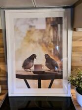 Ikea RÖDALM 50x70 cm weiß Bilder-Rahmen Bild Poster Tauben Passepartout Gallerix
