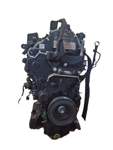 Ford transit tourneo - ,