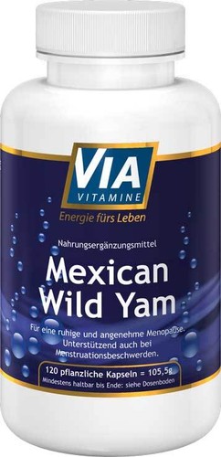 Mexican wild yam - mexican,