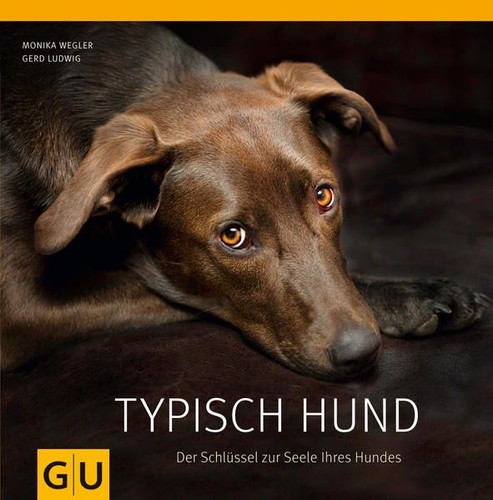 Typisch hund der - hund,