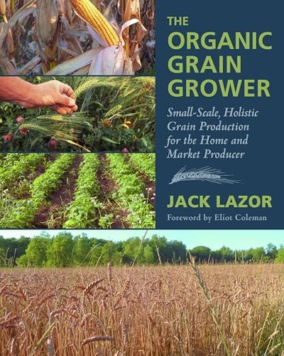 Organic grain grower - grain,