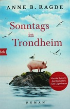 Sonntags in Trondheim * Roman
