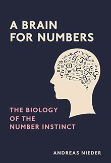 Brain for numbers the - numbers:,