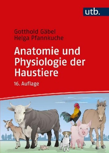 Anatomie und physiologie der - anatomie,