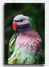 Hochauflösendes Alu-Dibond Wandbild, glänzend - Tiere / Bild Kunst XL groß