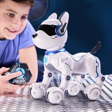 Ziggy der Robo Hund