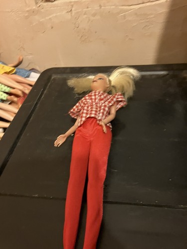 Barbie mit karohemd und - karohemd,