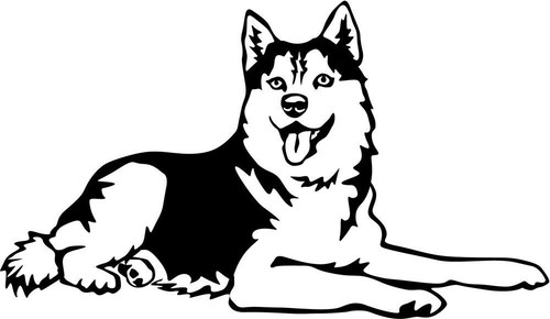 Siberian husky aufkleber - siberian,
