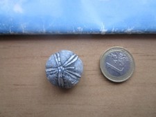 sehr schöner versteinerter Seeigel, Galerites. Tolles Deko Stück