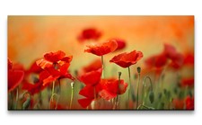 120x60cm Leinwandbild Mohnblumen Wildblumen Feldblumen rote Blüten Schön