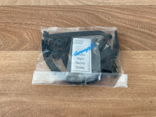 Campagnolo ergobrain - campagnolo, 10