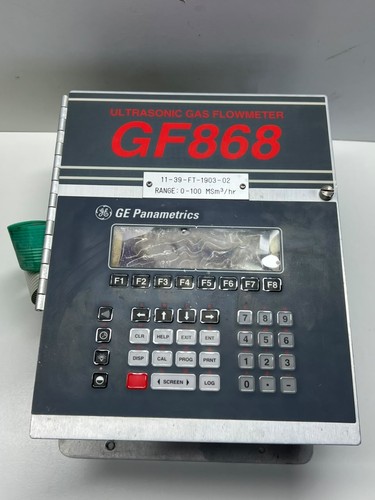 Panametrics digitalflow - ge,
