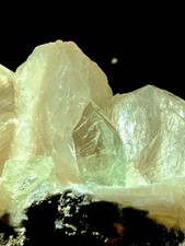 WOW! grüne Apophyllit XX