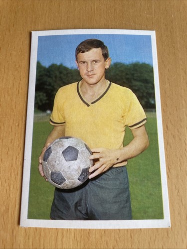 Bergmann 1965 63 wosab - 1965/66,