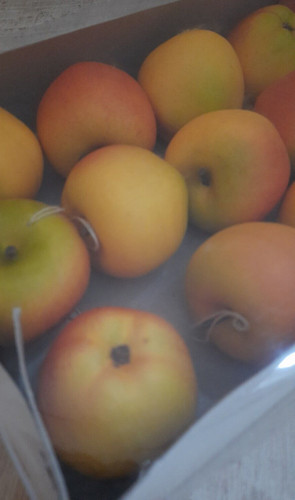 Deko apfel äpfel - , dekobst