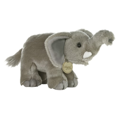 Aurora miyoni wild elefant - miyoni,