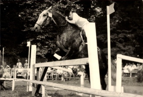Foto springreiten sprung - ak, springreiten,