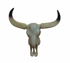 Deko Büffel Schädel Kopf