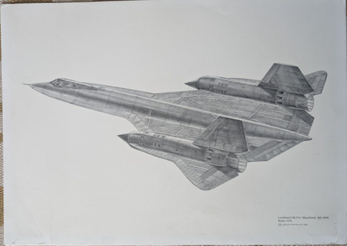 71a blackbird print - blackbird,