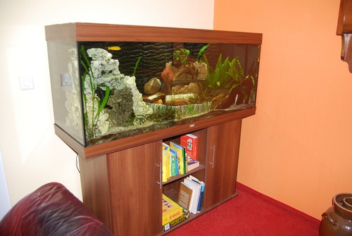Juwel rio 450l mit - juwel,