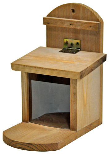 Nussautomat für eichhörnchen - für,