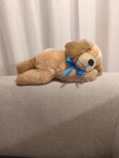 Steiff schlafender Hund