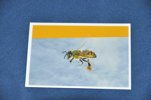 Rewe abenteuer tierwelt - rewe,