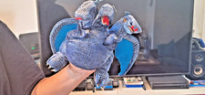 Dreikopf Drache blau ,    Therapie Handpuppe von FOLKMANIS-Neuwertig